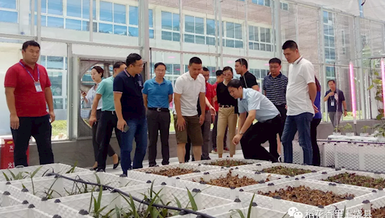 �ε����ʶӸ������㽭���յȵؿ���